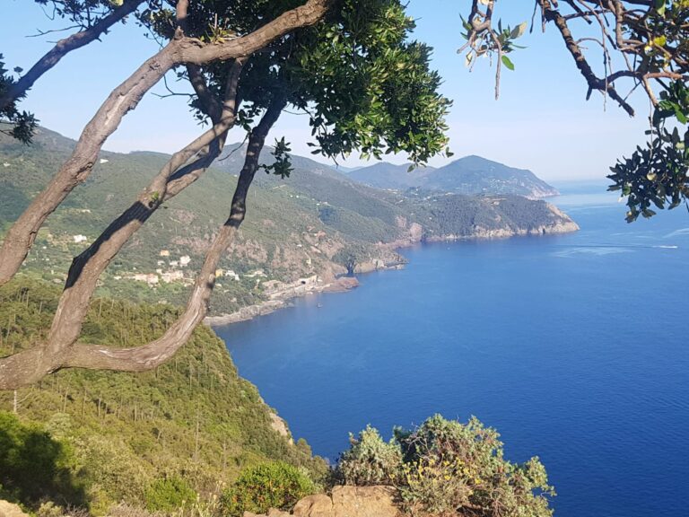 WhatsApp Image 2025-10-10 at 11.13.59 (1)