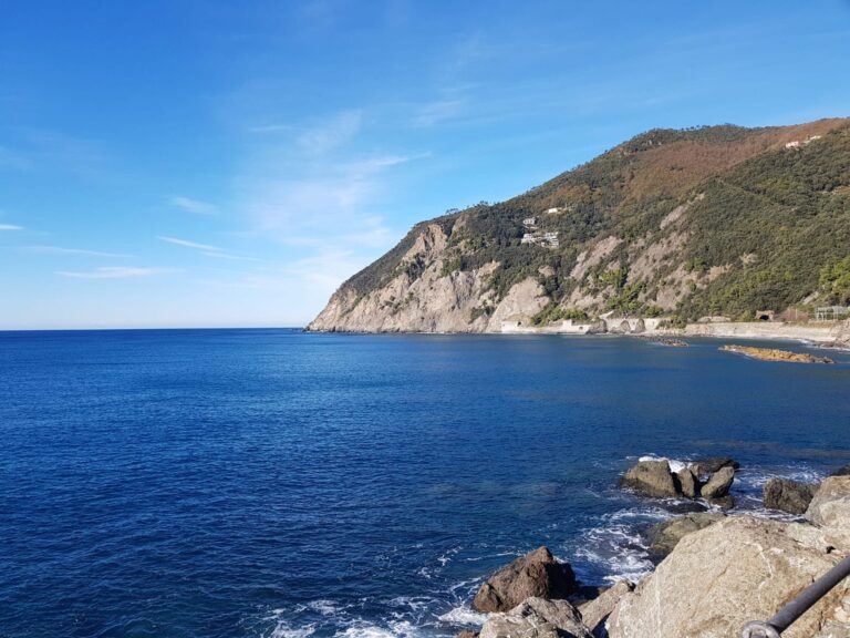 WhatsApp Image 2025-10-10 at 11.13.59