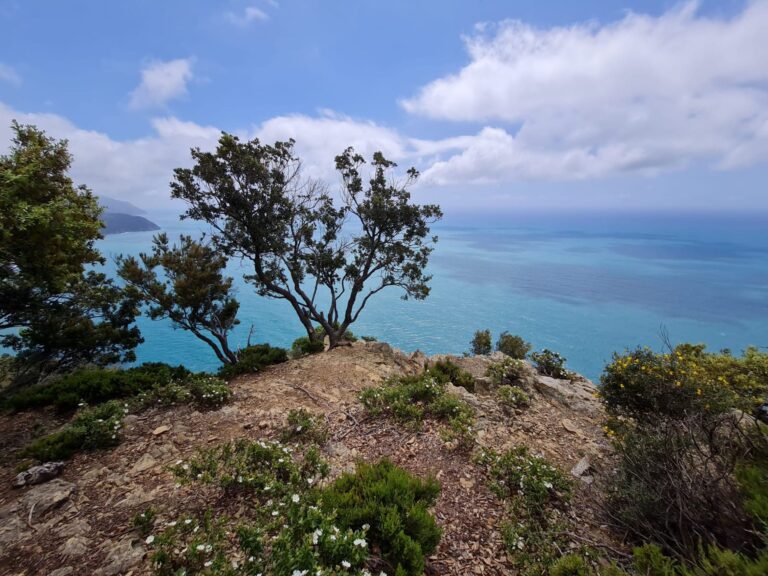 WhatsApp Image 2025-10-10 at 11.14.08 (3)