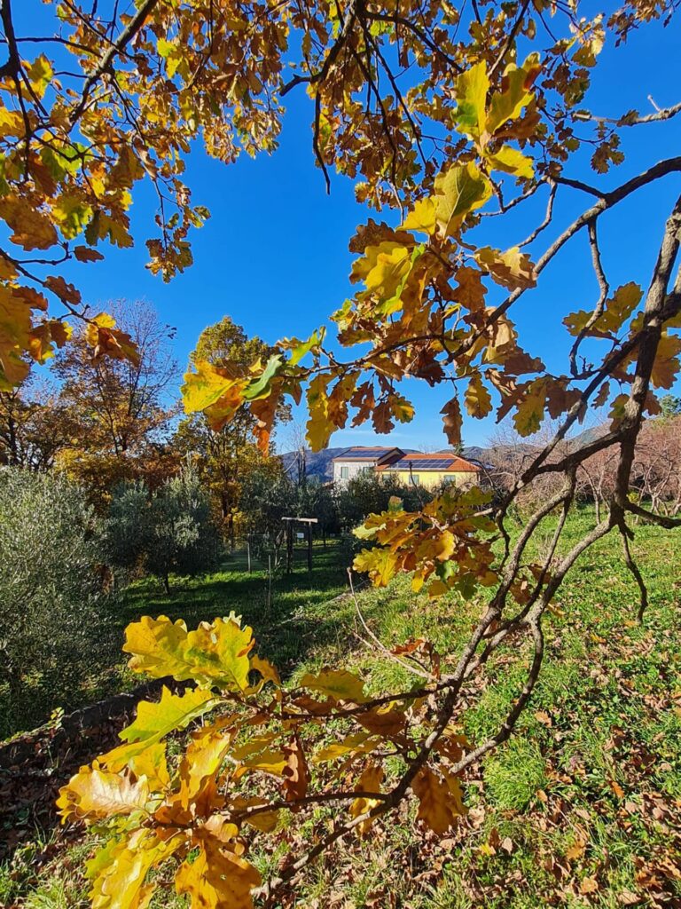 WhatsApp Image 2025-10-10 at 11.14.08