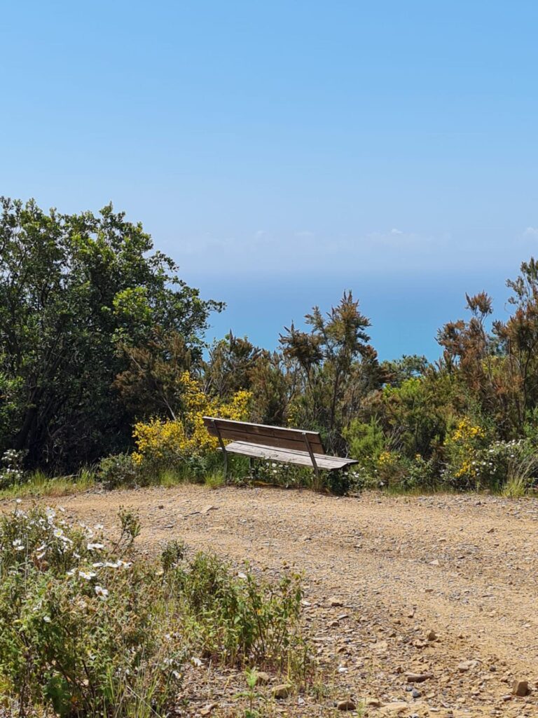 WhatsApp Image 2025-10-10 at 11.14.09 (1)