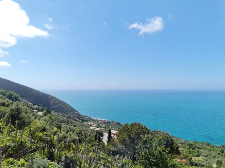 WhatsApp Image 2025-10-10 at 11.14.09 (5)