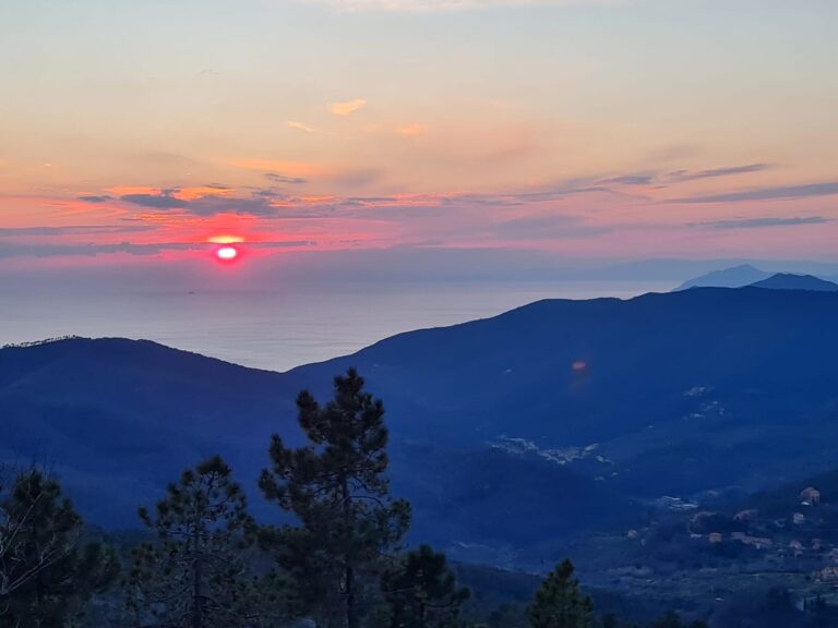 WhatsApp Image 2025-10-10 at 11.14.10 (2)