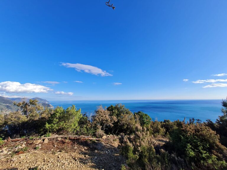 WhatsApp Image 2025-10-10 at 11.14.10