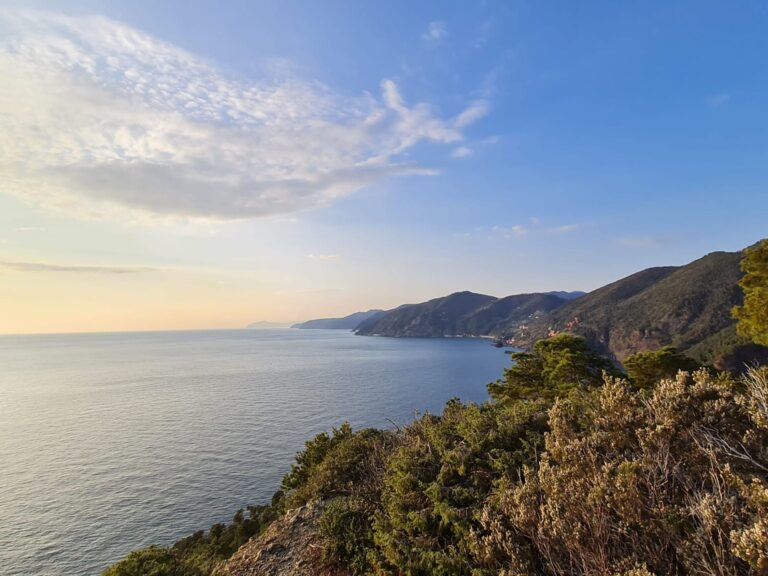 WhatsApp Image 2025-10-10 at 11.14.11 (3)