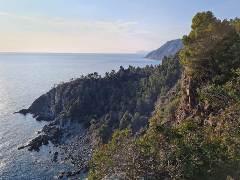 WhatsApp Image 2025-10-10 at 11.14.11