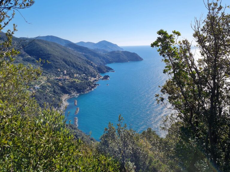 WhatsApp Image 2025-10-10 at 11.14.12 (1)