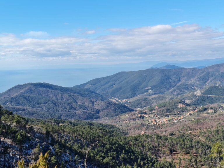 WhatsApp Image 2025-10-10 at 11.14.12 (4)