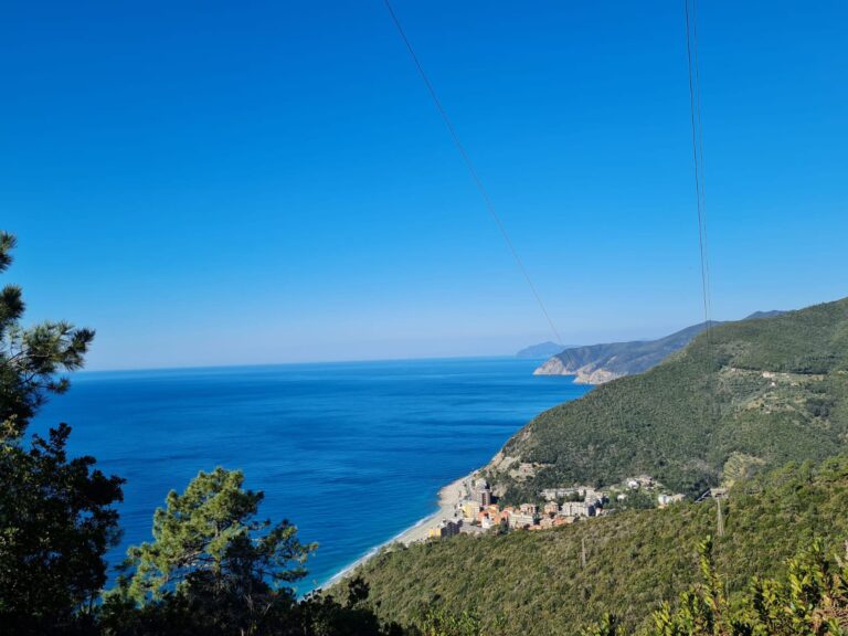 WhatsApp Image 2025-10-10 at 11.14.12