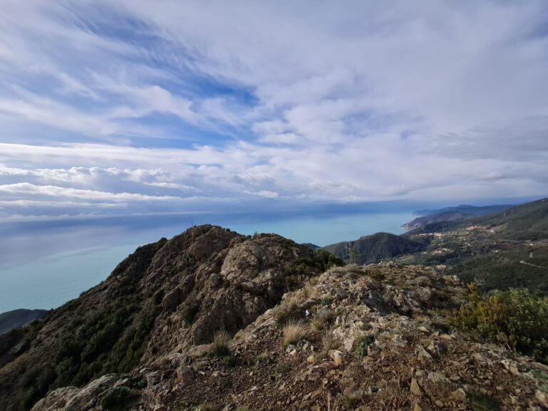 WhatsApp Image 2025-10-10 at 11.14.13 (1)