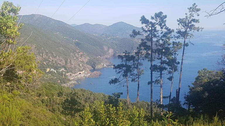 WhatsApp Image 2025-10-10 at 11.14.13 (3)