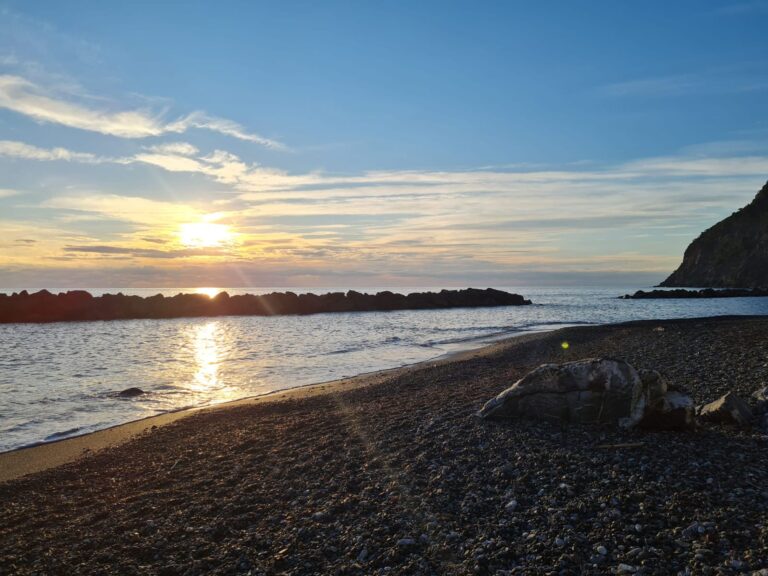 WhatsApp Image 2025-10-10 at 11.14.13